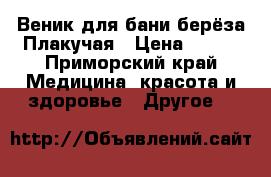 Веник для бани берёза Плакучая › Цена ­ 190 - Приморский край Медицина, красота и здоровье » Другое   